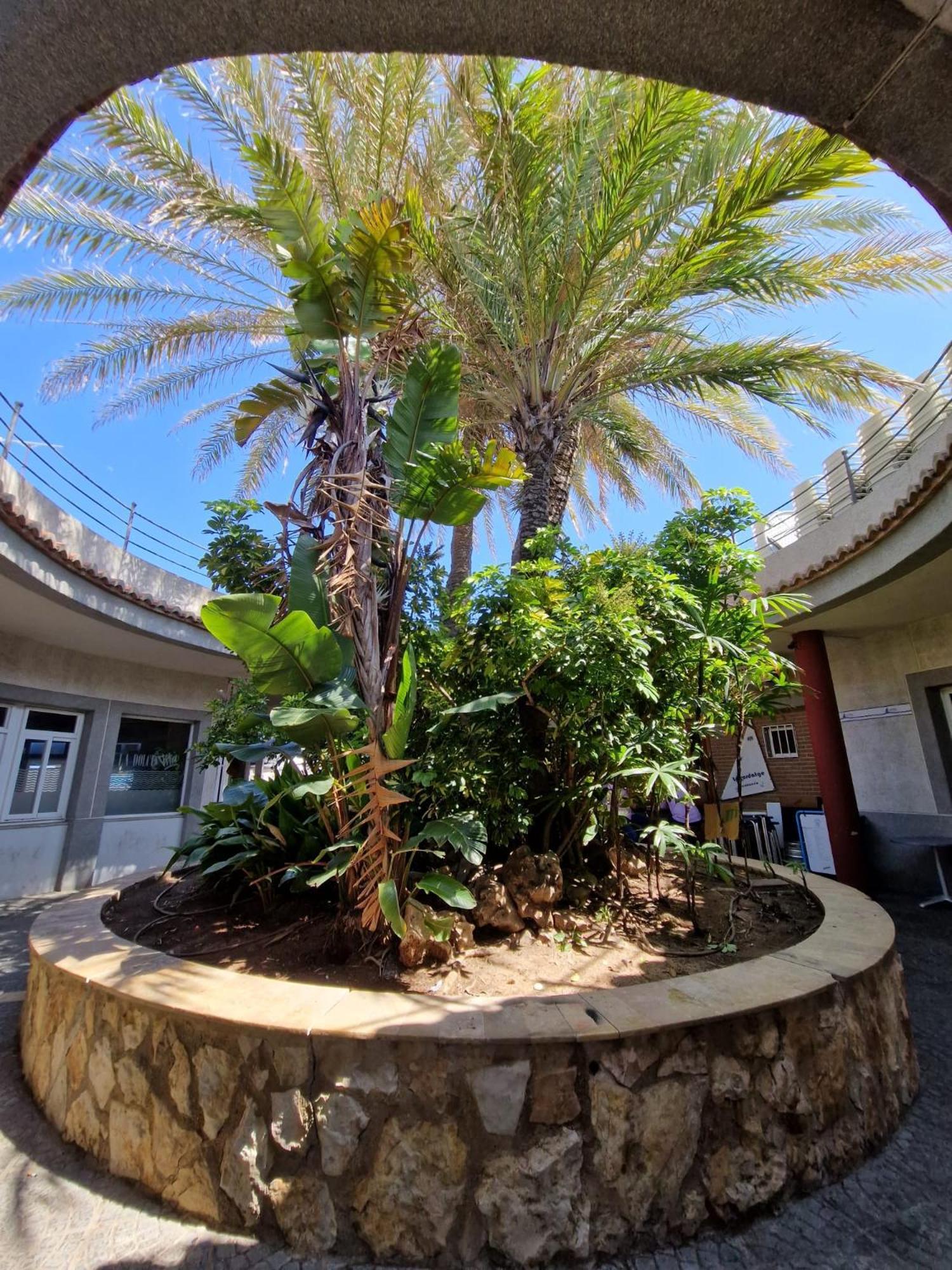 Apartamento Barbacoa, Piscina Y Playa Puebla de Farnals Exterior foto
